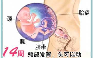 国内哪些公立医院有供卵室,做试管婴儿卵巢早衰了怎么办？