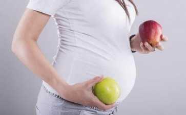 子宫后位试管移植为什么不用憋尿？-助孕公司价格表