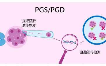 优质代妈-试管婴儿雌二醇多少好